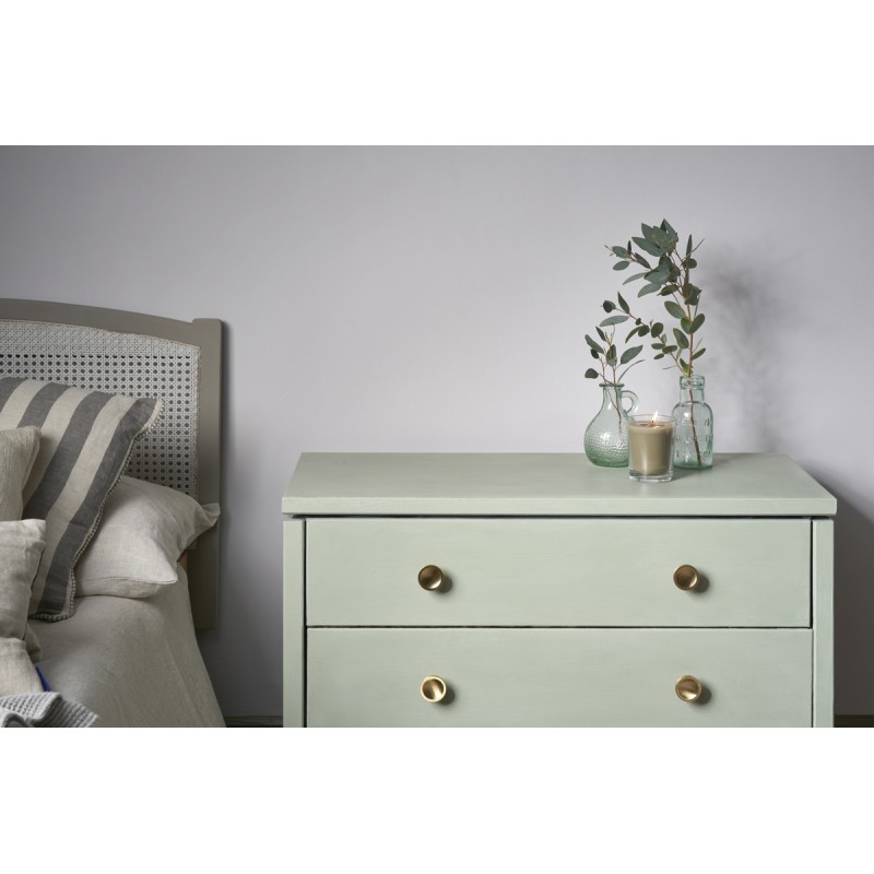 Peinture Annie Sloan Chalk Paint Coolabah Green L