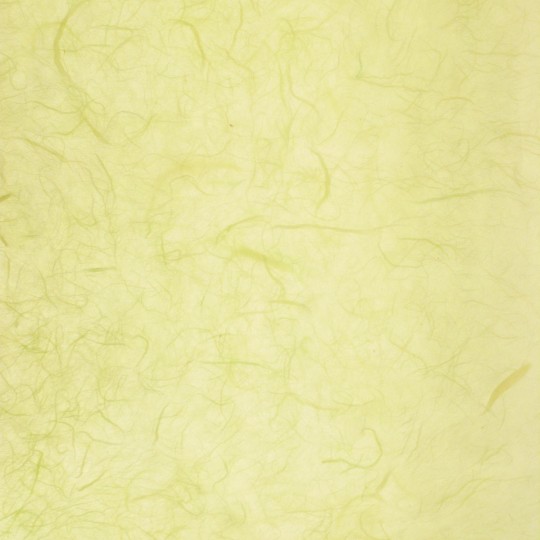 Papier murier vert silk