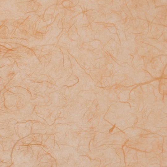 Papier murier orange saumon silk