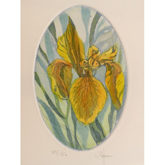 Gravure originale eau forte ovale iris jaune