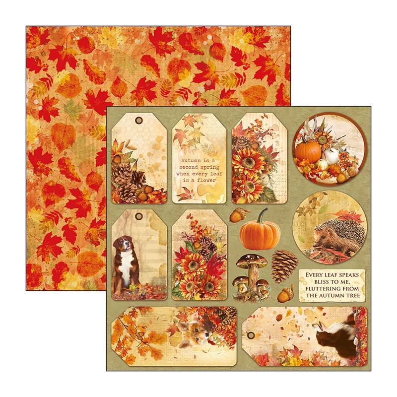 Ciao Bella Papier Scrapbooking 30x30 Reversible Cartes D Automne