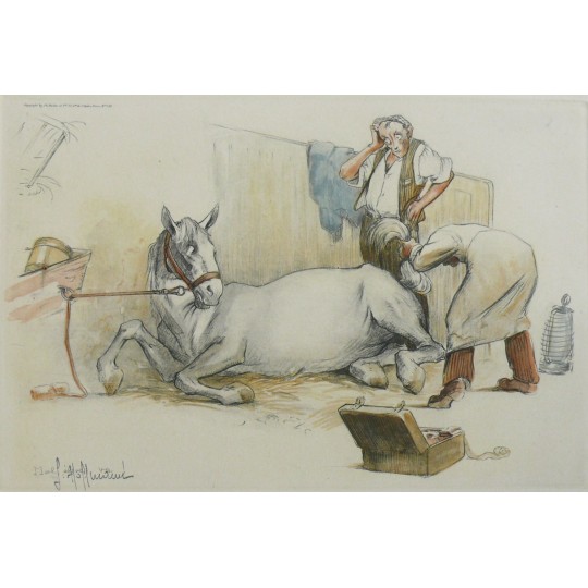 Gravure cheval signée Hoffmann