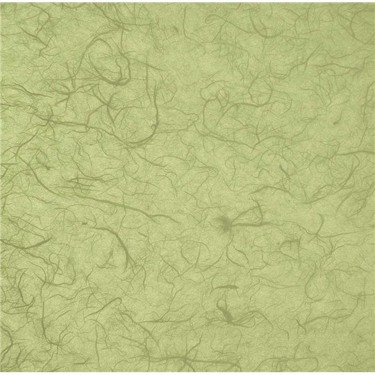 Papier murier vert silk 50x70cm