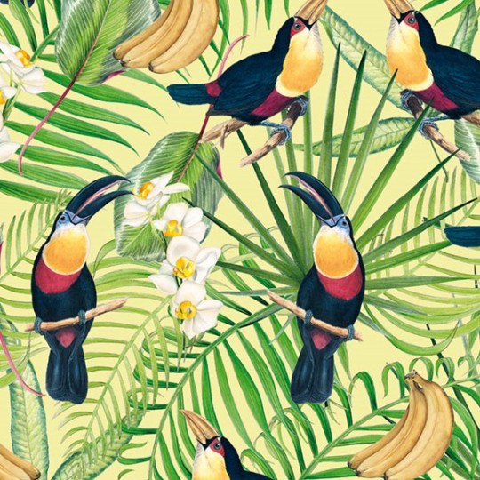 Papier tassotti à motifs toucan