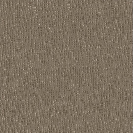 Papier simili Ecorel Fibre Taupe 50x67cm