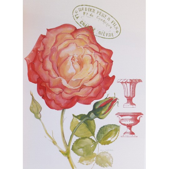 Carte d'art fleurs grandiflora rose