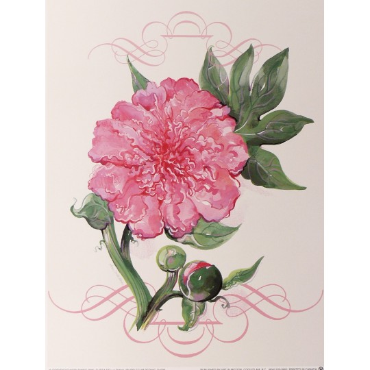 Carte d'art bubblegum peony