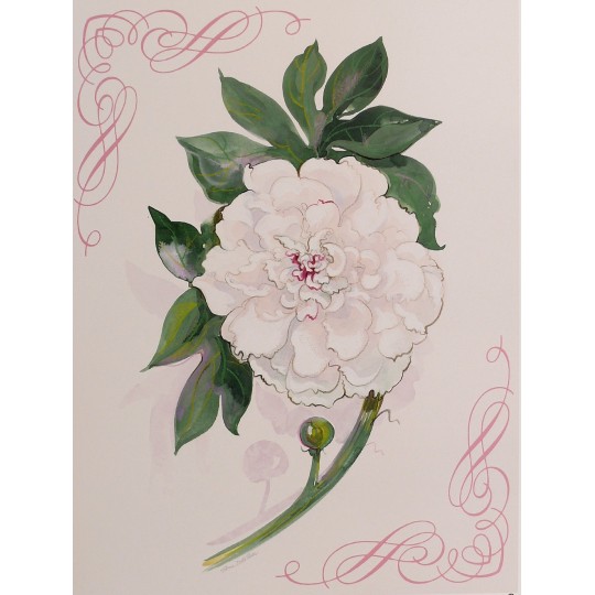 Carte d'art snow peony