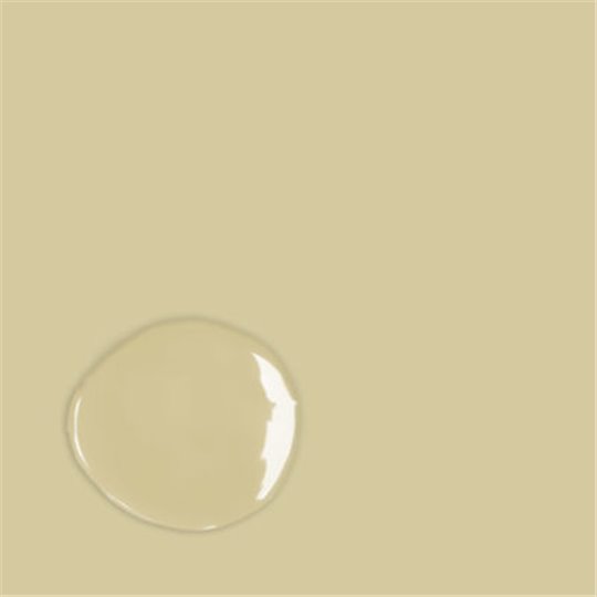 Peinture Annie Sloan Chalk Paint vert Versailles 1L